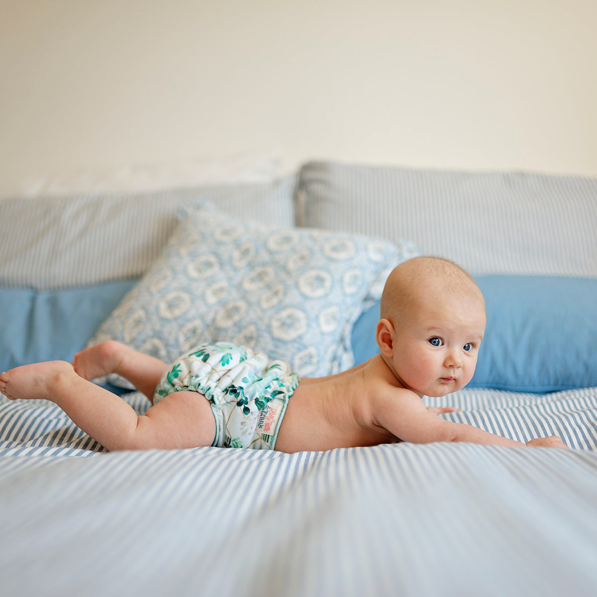 Cloth Diapers On Sale Lilly & Frank