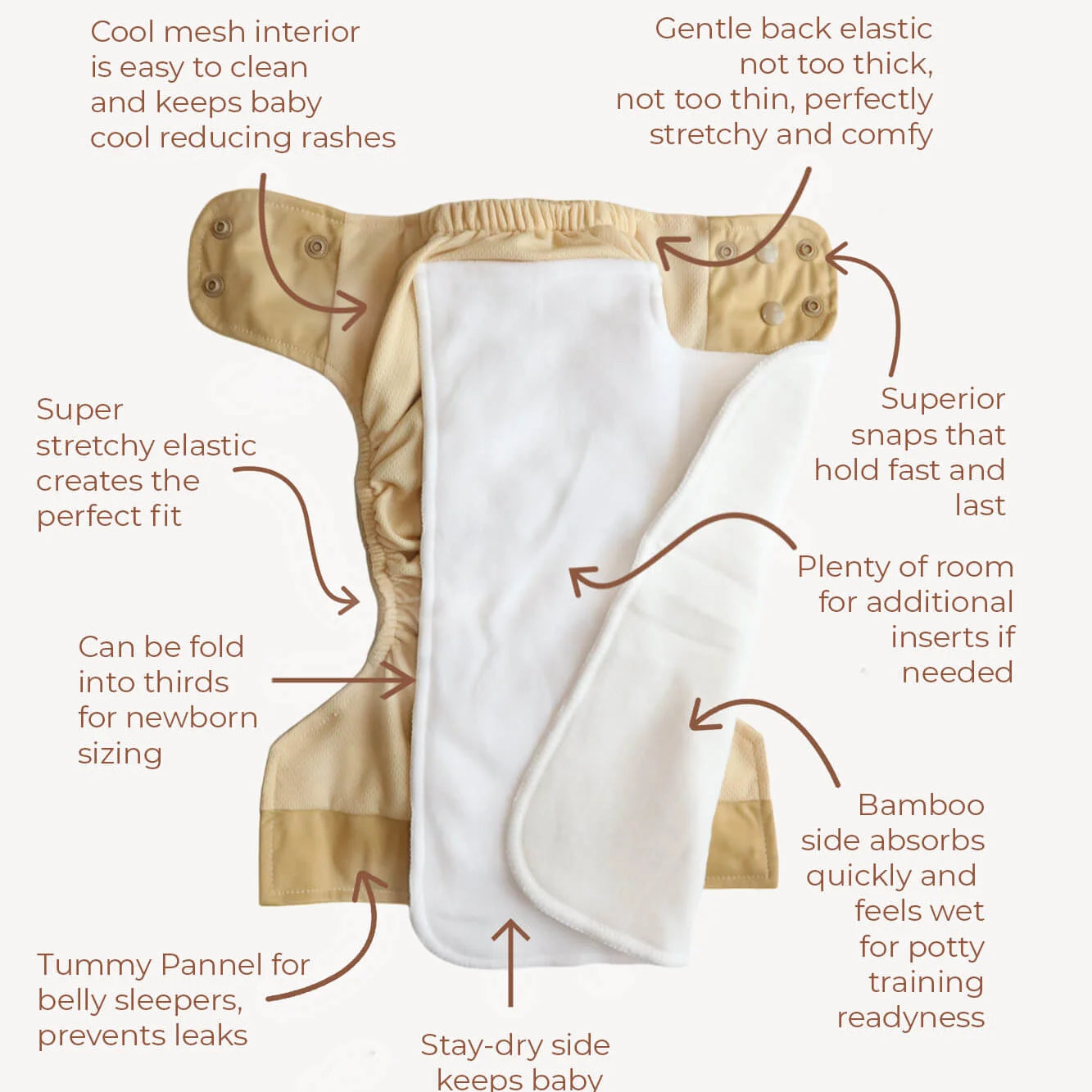 All-In-One - Signature (6-32lbs) - Lilly & Frank