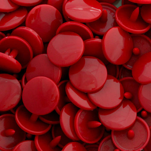 Kam Snaps - Lilly & Frank