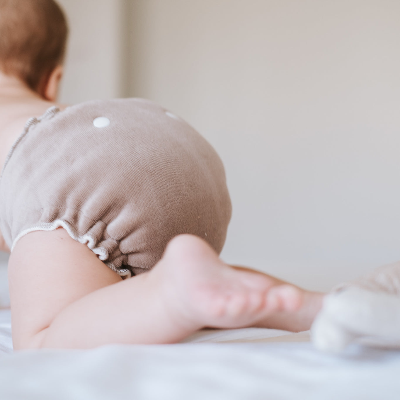 Made To Order Organic Cotton Velour - Solid Colour Collection - Great For Night! - Lilly & Frank