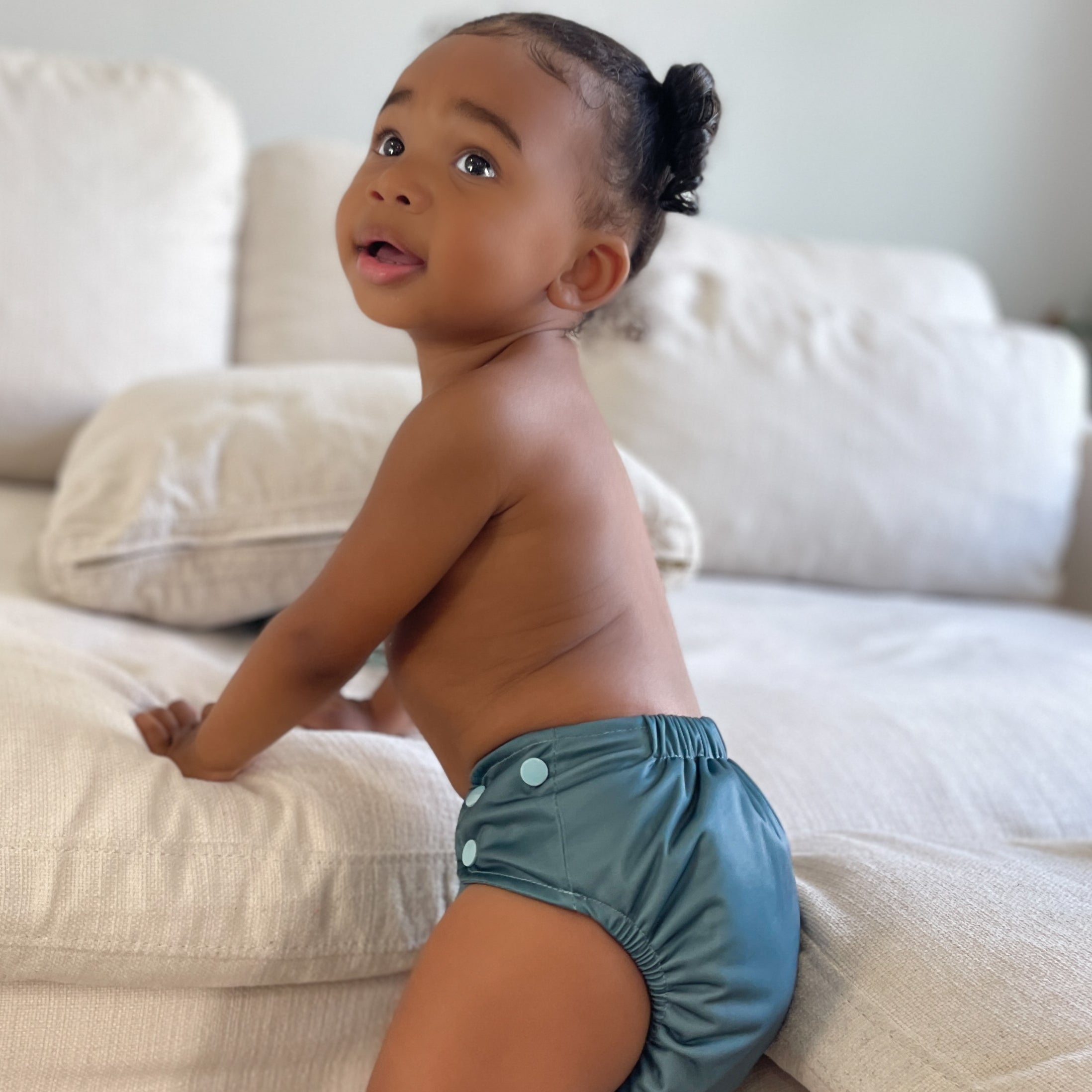 All-In-Two (AI2) Cloth Diaper - Inserts Included - Coming Soon! - Lilly & Frank