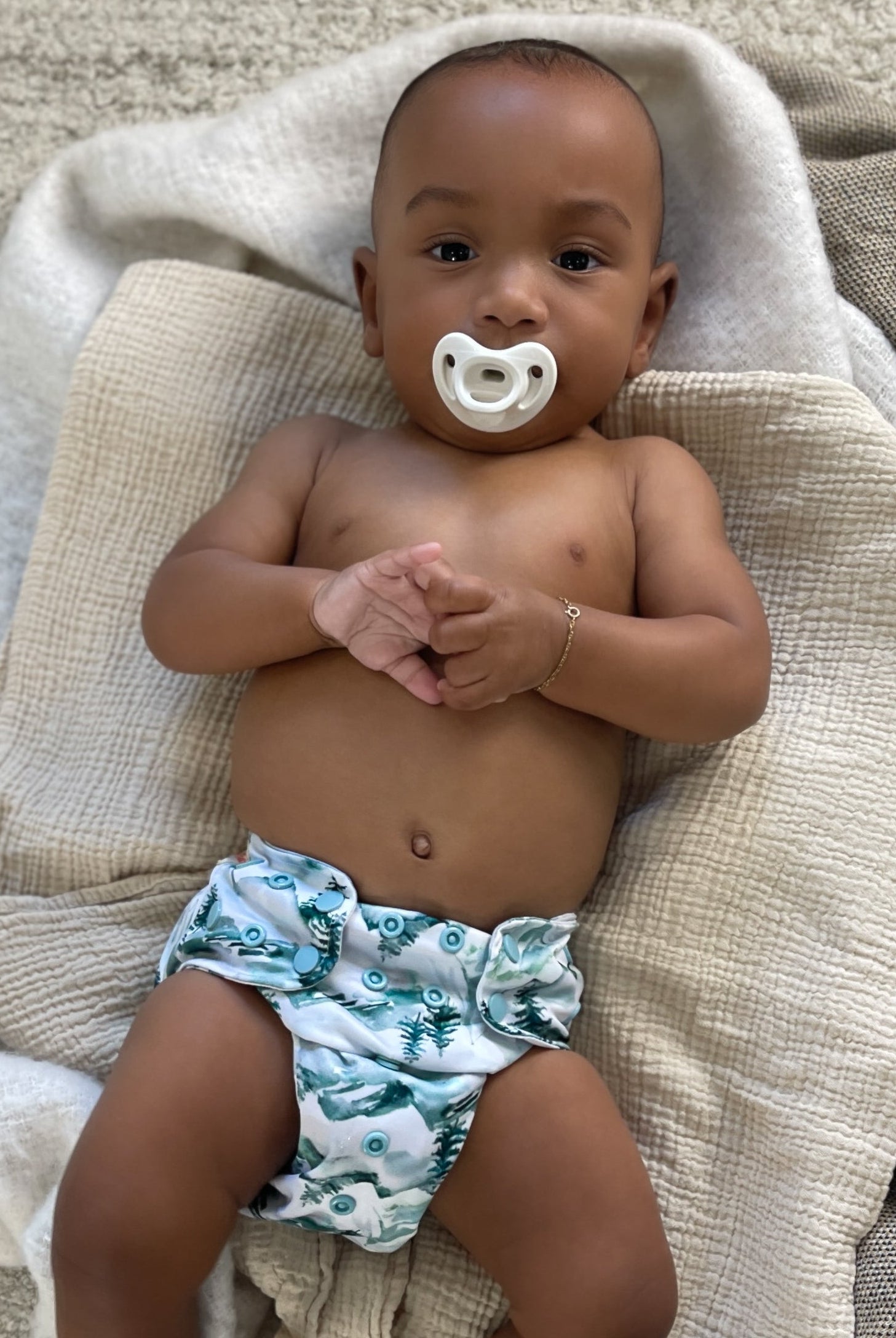 All-In-Two (AI2) Cloth Diaper - Inserts Included - Coming Soon! - Lilly & Frank