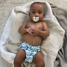 All-In-Two (AI2) Cloth Diaper - Inserts Included - Coming Soon! - Lilly & Frank