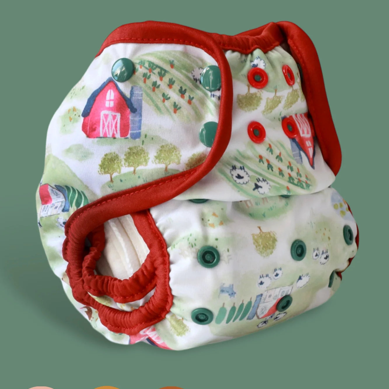 All In Two - Signature - Insert Included - Lilly & Frank