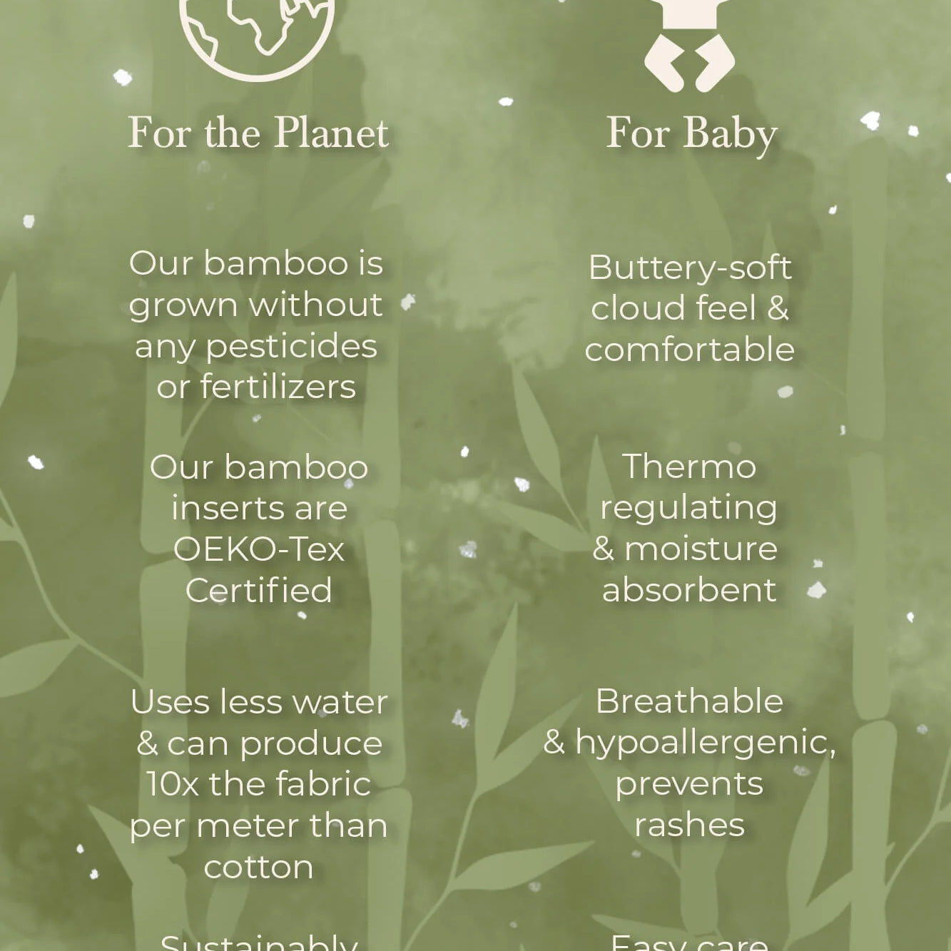 All-In-One - Signature (6-32lbs) - Lilly & Frank