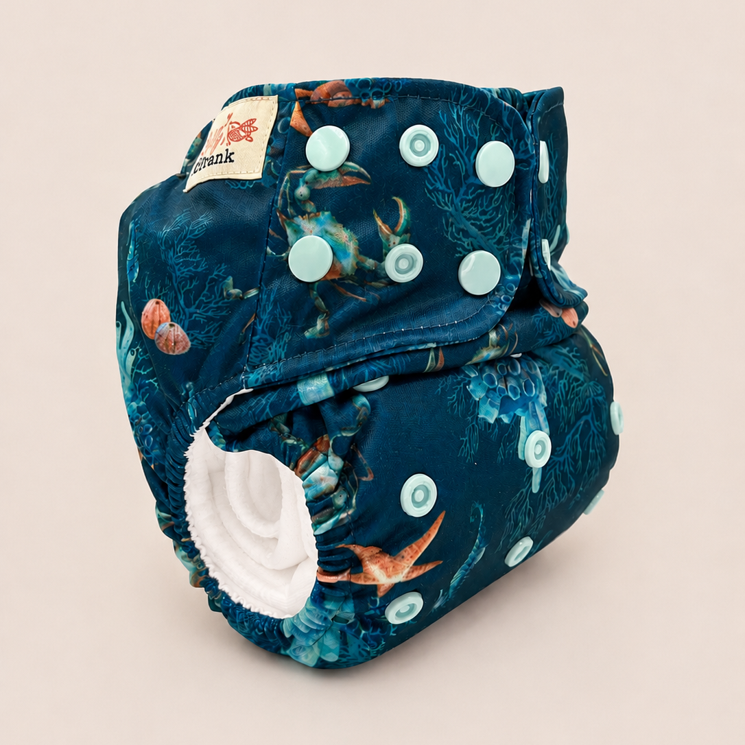 All-In-Two Cloth Diaper (6–35 lbs)