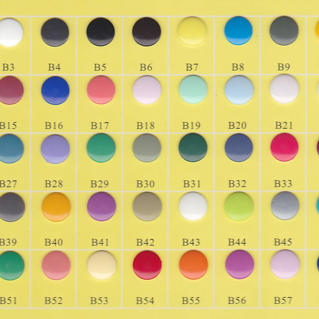 Kam Snaps - Lilly & Frank