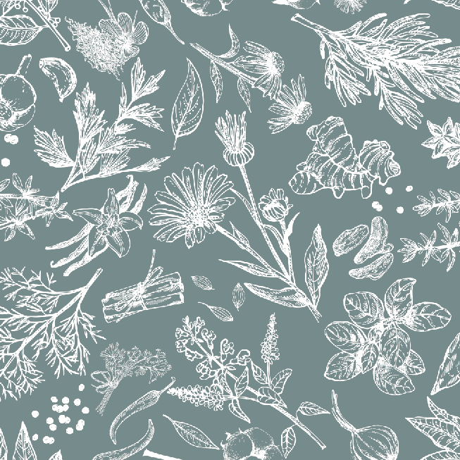 Pattern of white botanical illustrations on a teal background