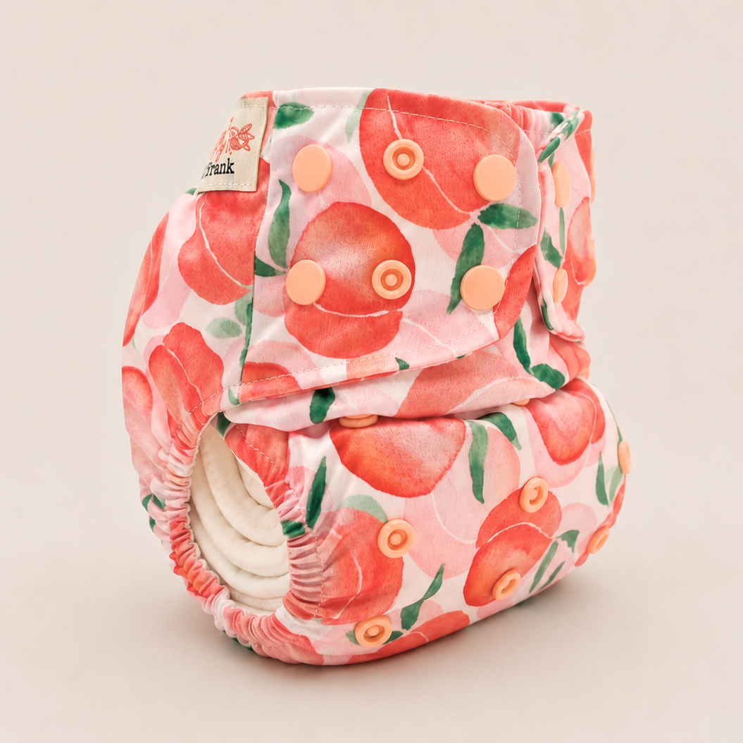All-In-Two Cloth Diaper (6–35 lbs)