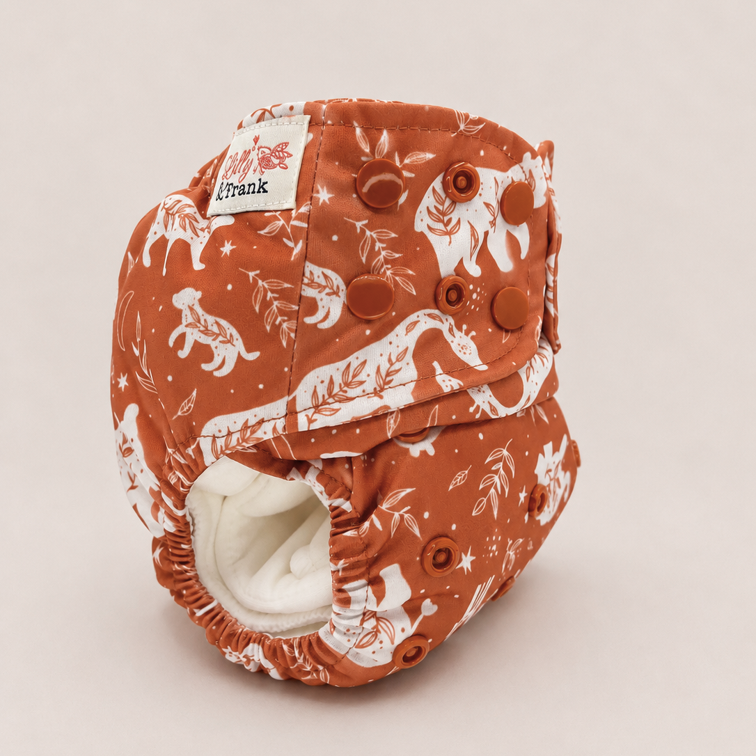 All-In-Two Cloth Diaper (6–35 lbs)