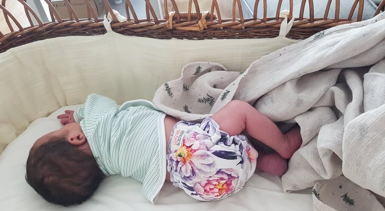 Lilly & Frank Cloth Diaper Over The Hills Newborn Diaper