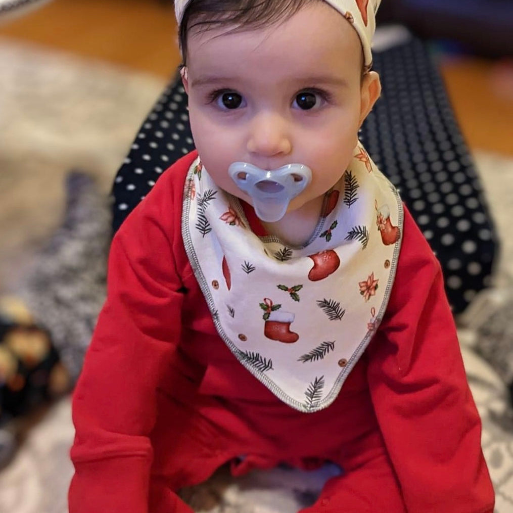 Lilly & Frank Reversible Bibs