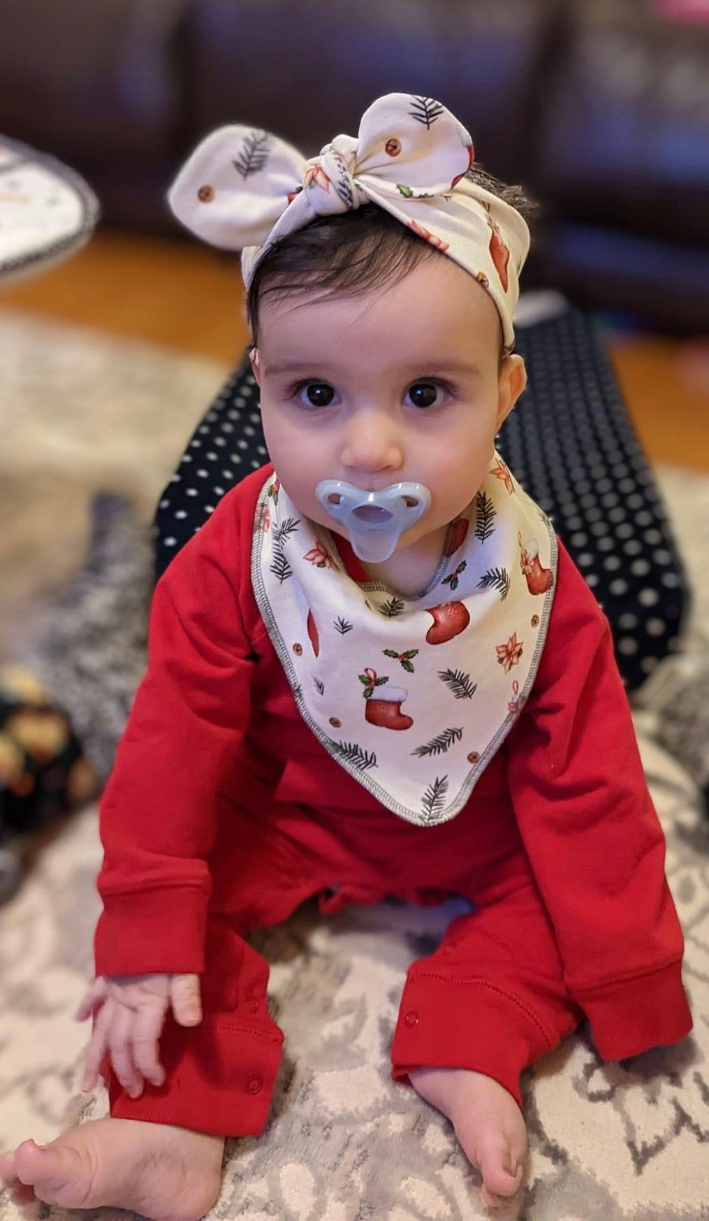 Lilly & Frank Reversible Bibs