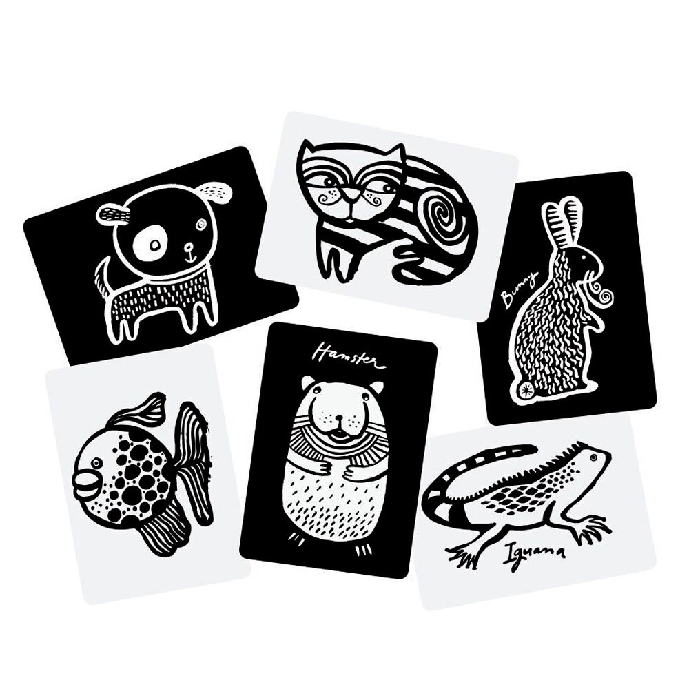 Wee Gallery Baby Toy Pet Wee Gallery Art Cards