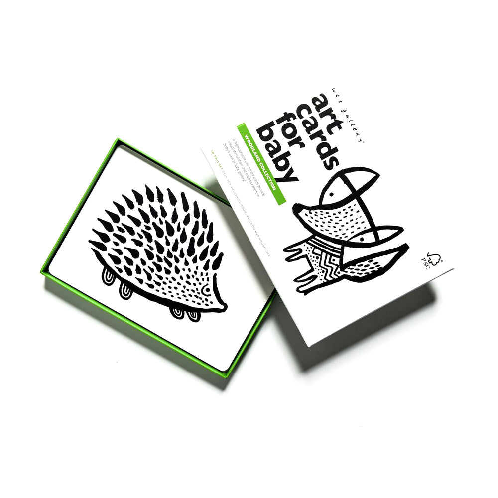 Wee Gallery Baby Toy Wee Gallery Art Cards