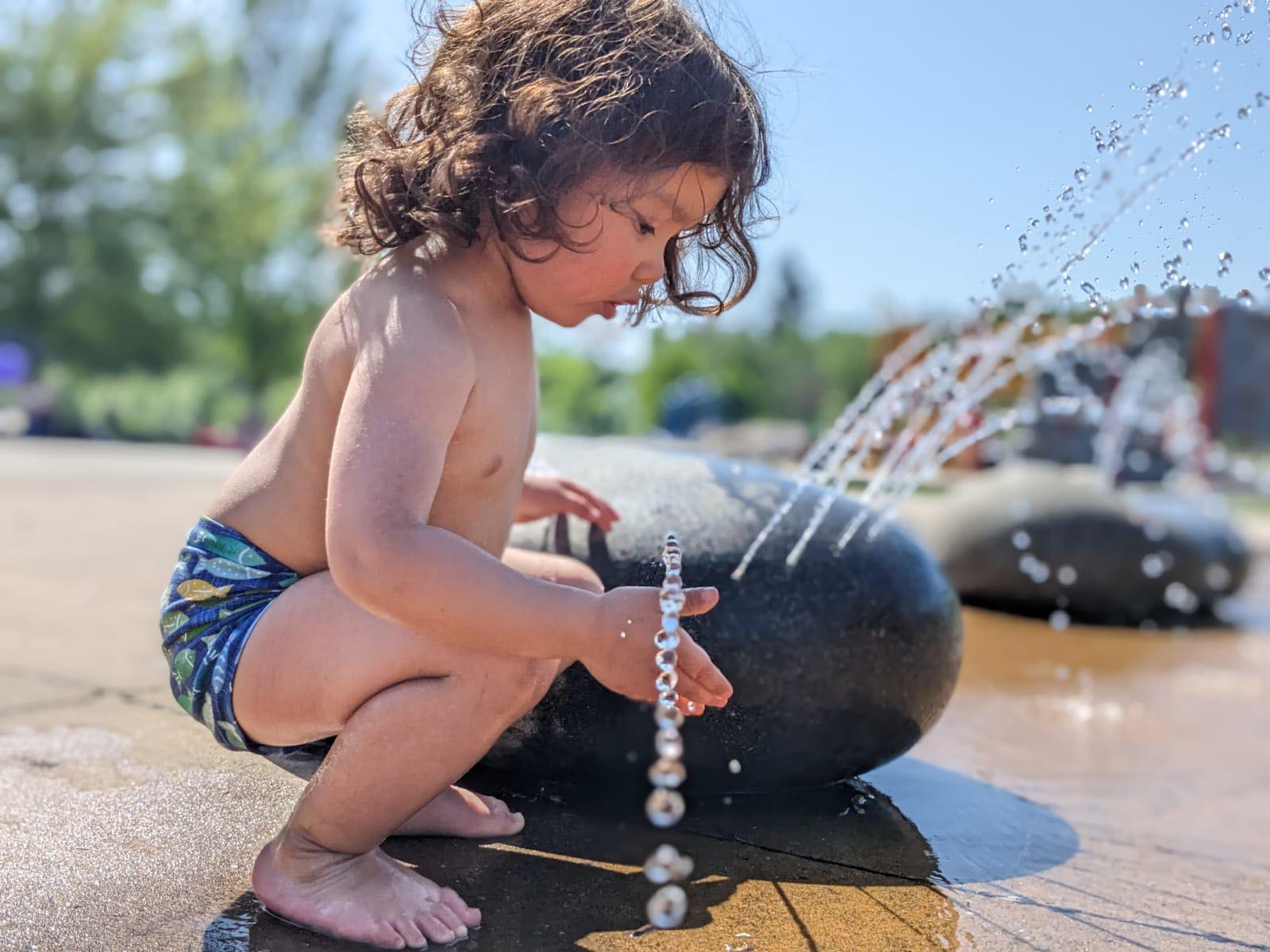 lilly and frank trainers 