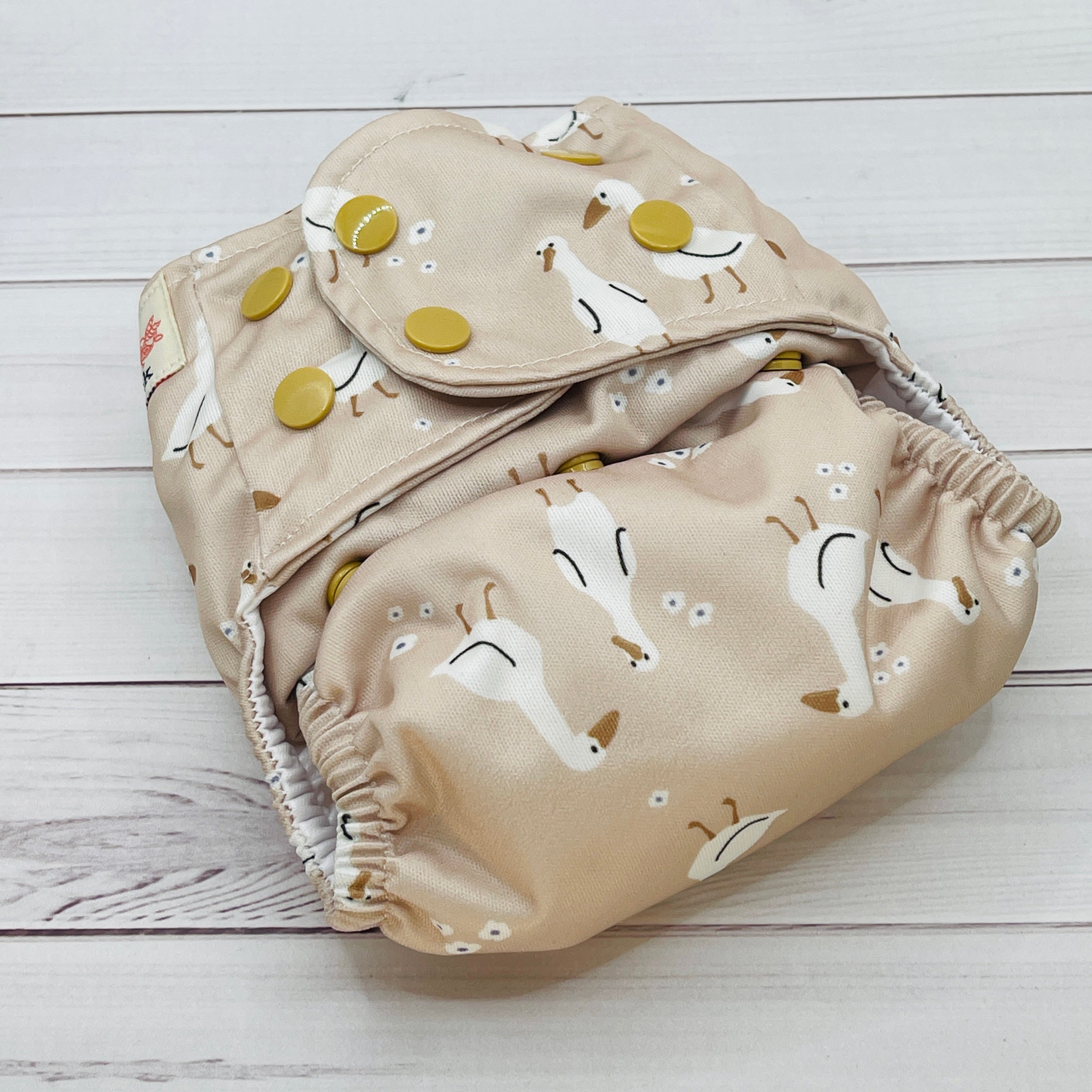 Tri Fold Insert - Newborn by Lilly & Frank 