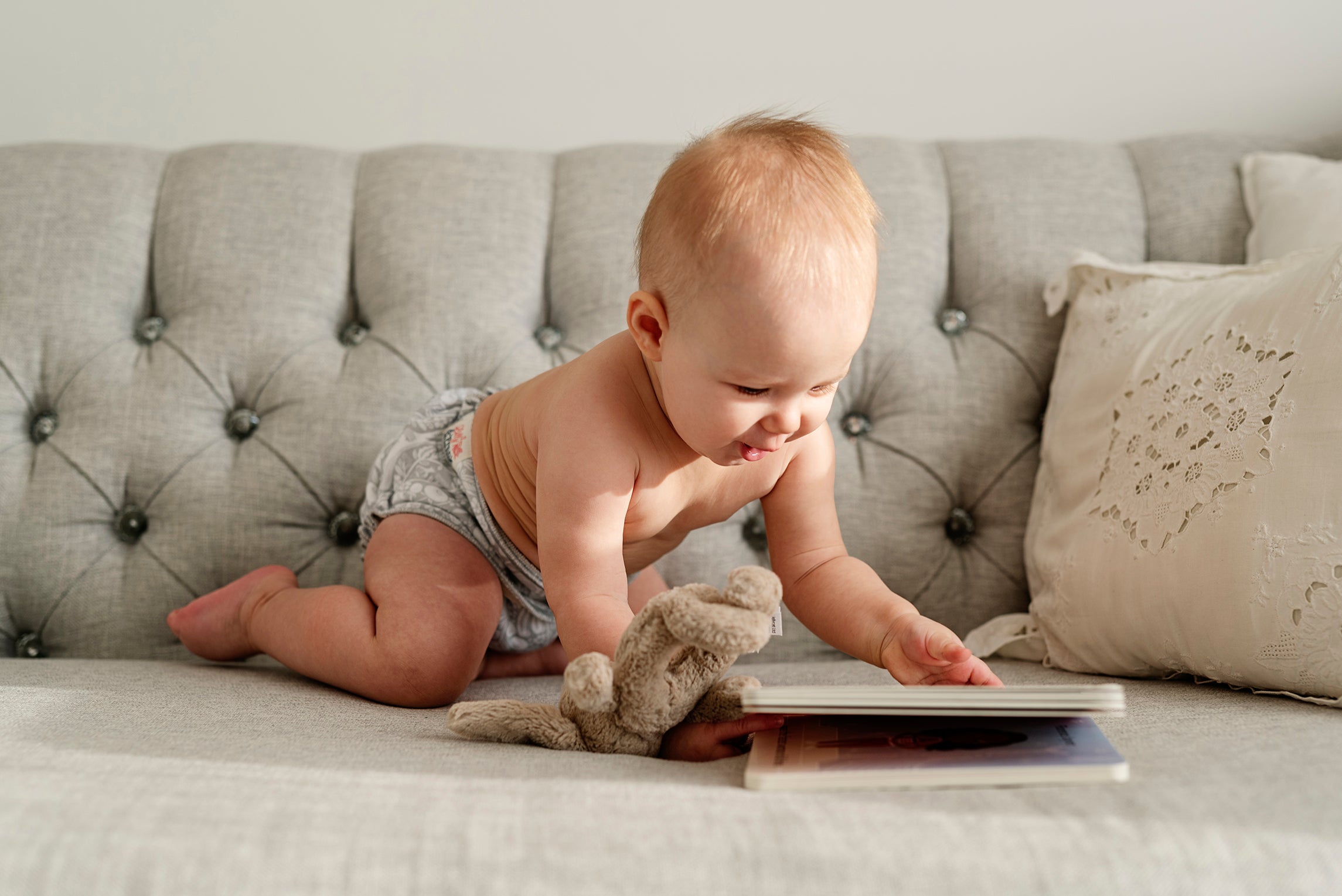 about lilly & frank cloth diapers