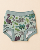 A pair of baby boy's underwear with a green dinosaur and leaf pattern, featuring a solid sage green waistband and leg cuffs, laid flat on a light beige background.
