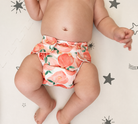 All-In-Two (AI2) Cloth Diaper Cover by Lilly & Frank 
