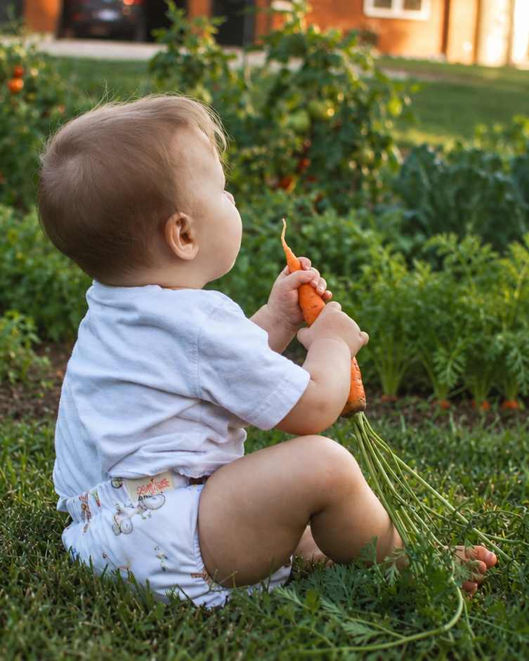 A baby sitting on green grass in a backyard garden, holding an orange carrot with long green leafy stems wearing a cloth diaper by Lilly & Frank
