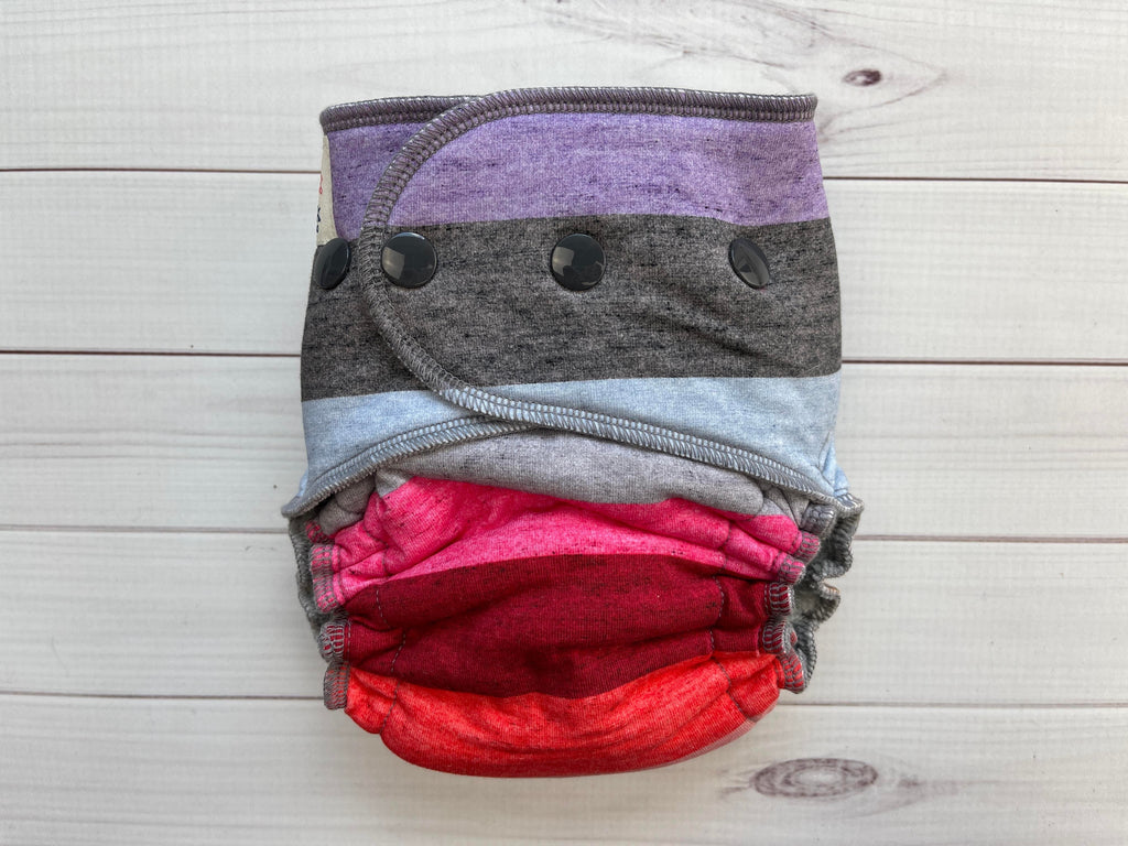 Lilly & Frank Fitted Cloth Diaper Heathered Rainbow Petite Hybrid Cloth Diaper - Hybrid - Classic Serged