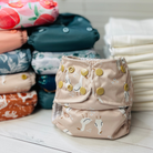 All-In-Two Bundle (3+ months) - Lilly & Frank 