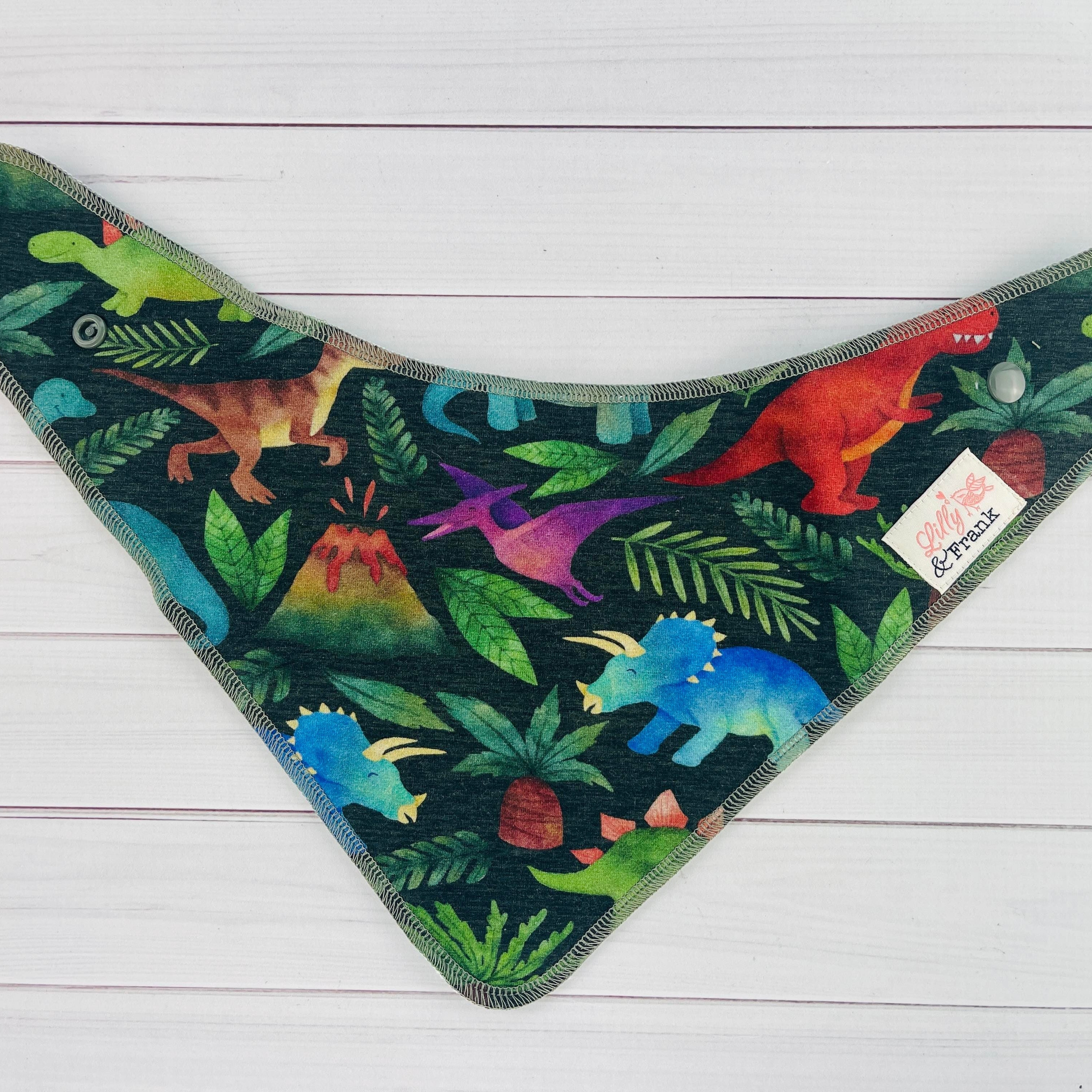 Lilly & Frank Diggy Dinos / Serged / Opal Reversible Bibs