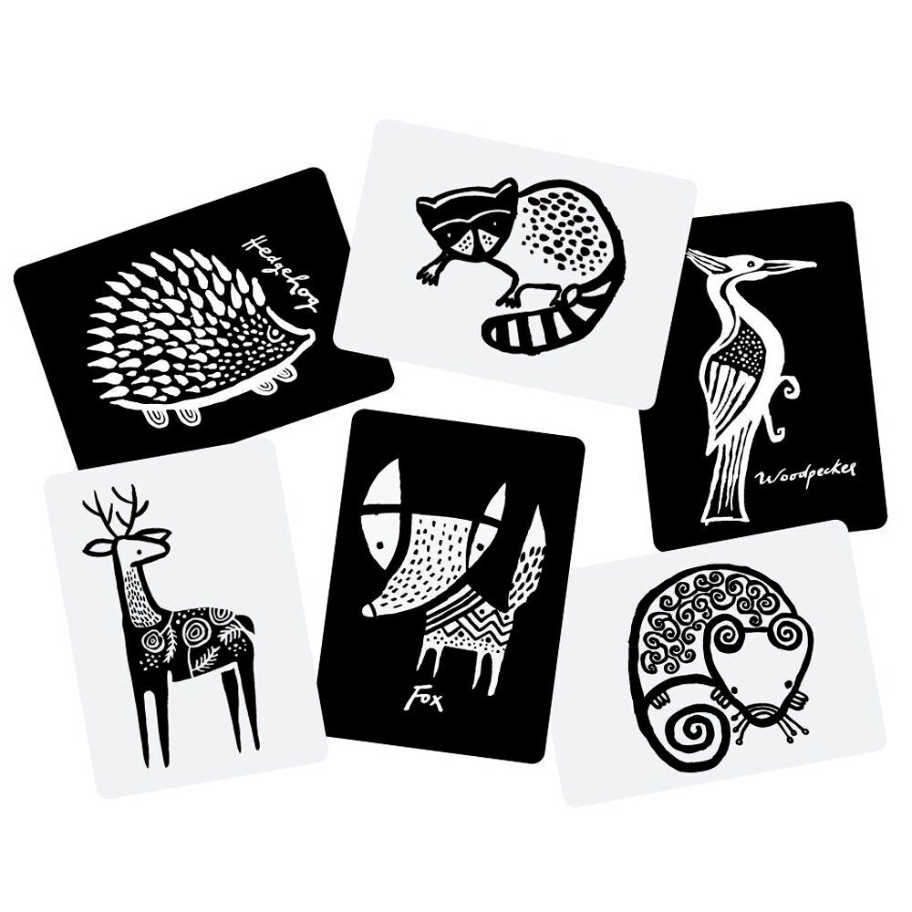 Wee Gallery Baby Toy Jungle Wee Gallery Art Cards